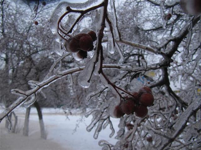 Обледенение контактной сети, видео