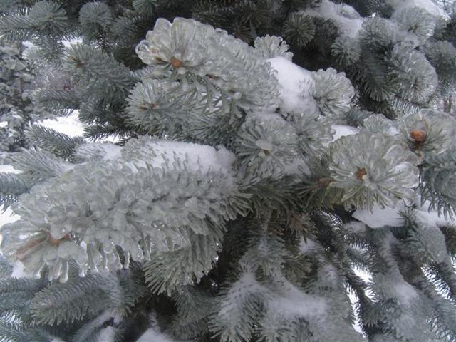 Обледенение контактной сети, видео